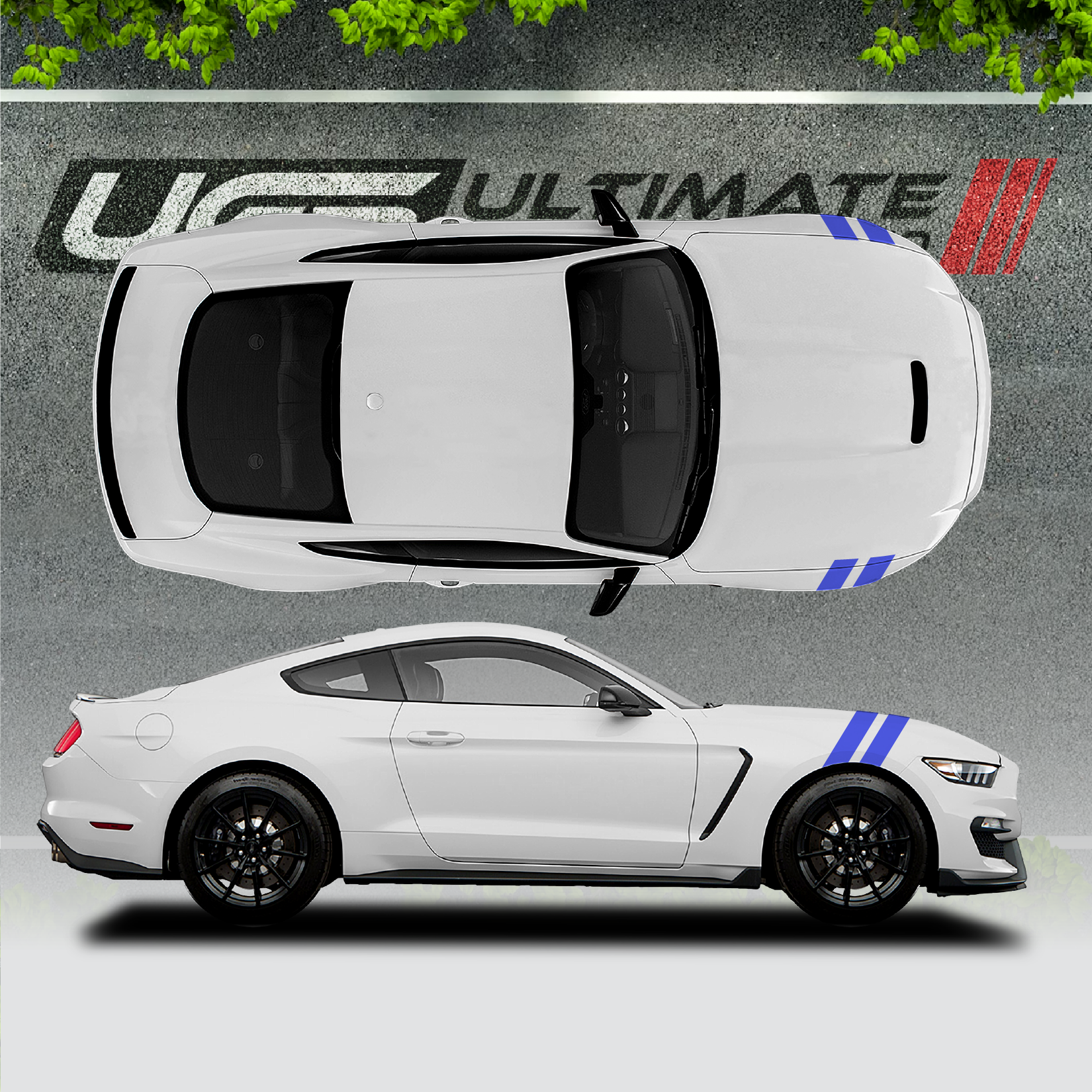 Ford Mustang Vinyl Decals Graphics Custom Design