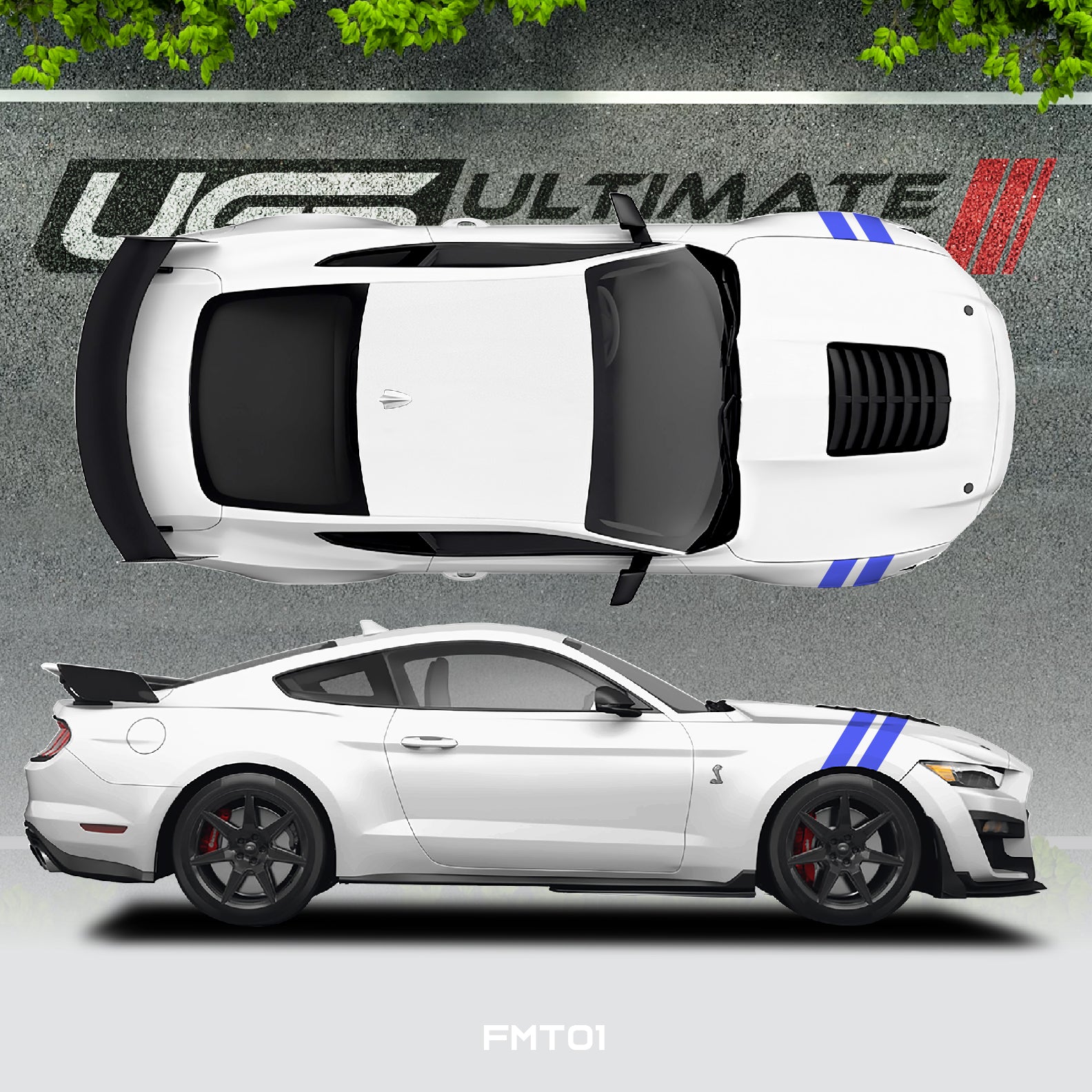 Ford Mustang Vinyl Decals Graphics Custom Design